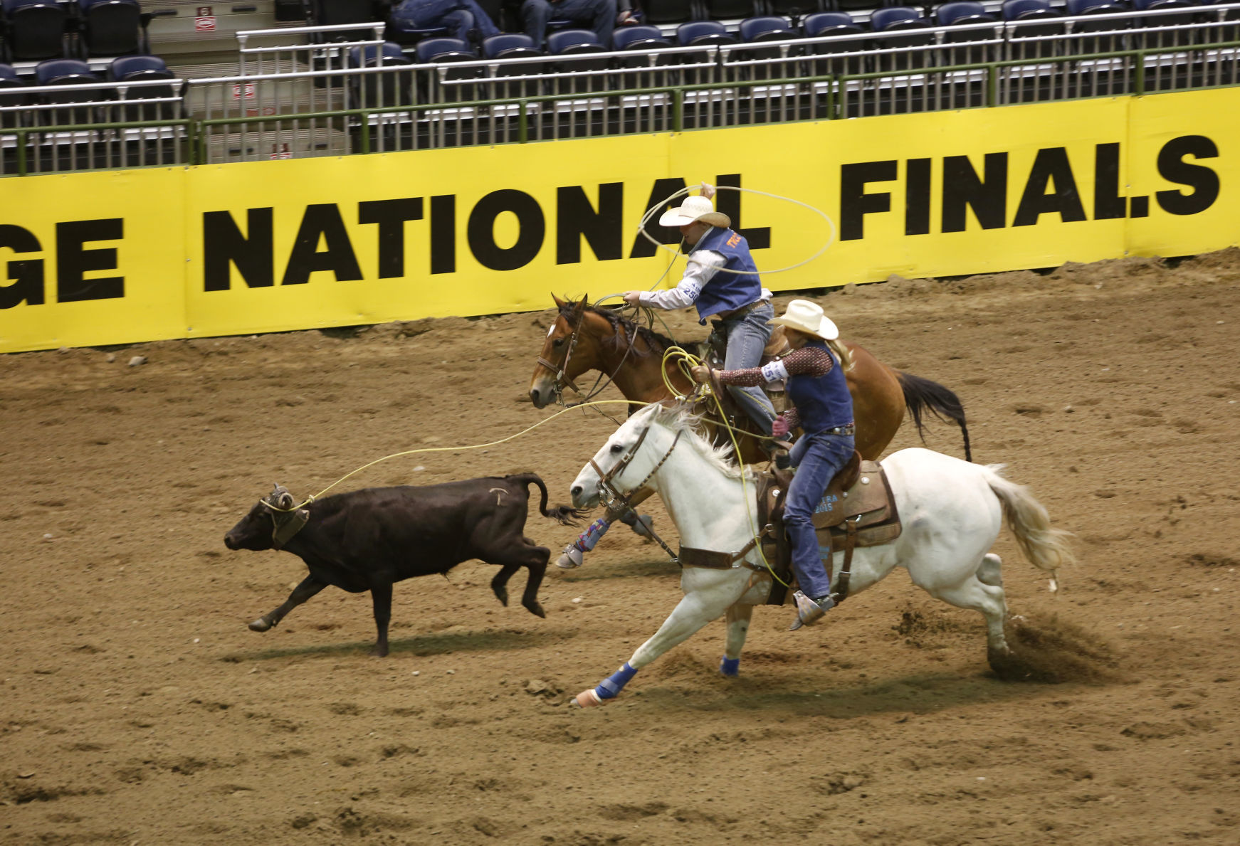 CNFR - Monday